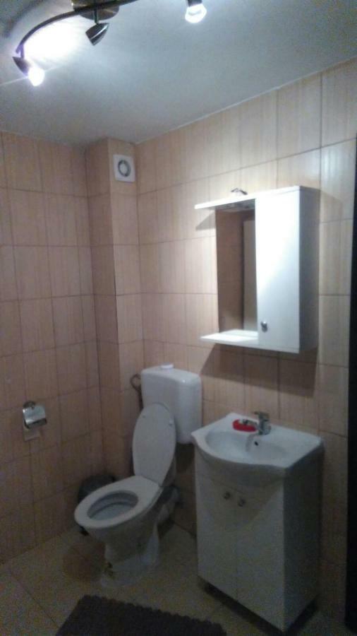 בוקרשט Alexander Apartment מראה חיצוני תמונה